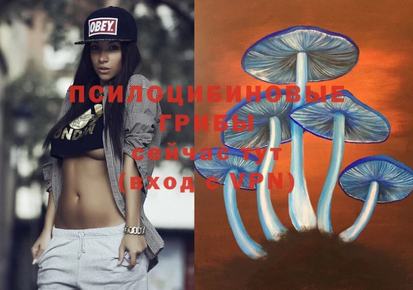 прущие грибы Мегион